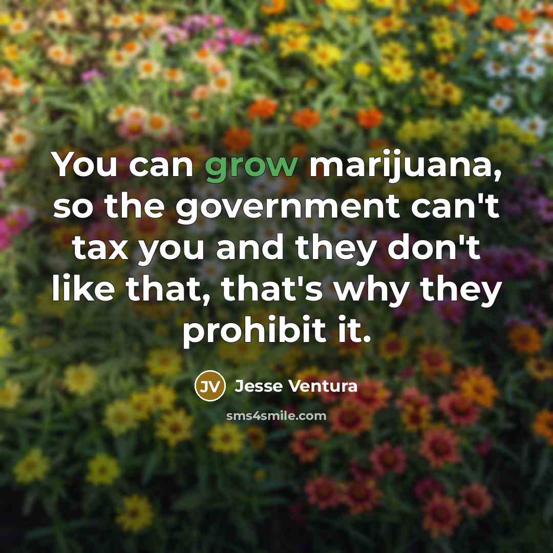 “You can grow marijuana, so the government can't tax you…” quote by Jesse Ventura