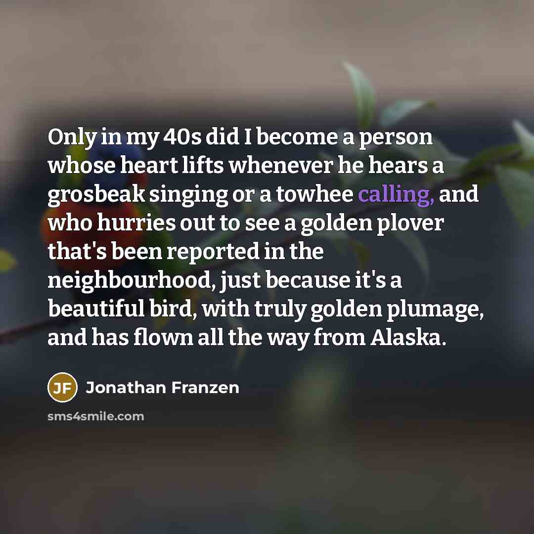“Only in my 40s did I become a person whose…” quote by Jonathan Franzen