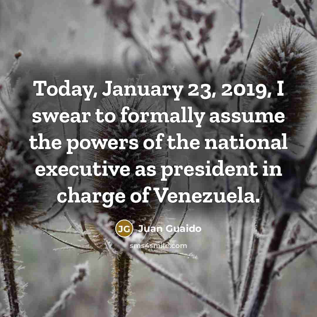 “Today, January 23, 2019, I swear to formally assume the…” quote by Juan Guaido