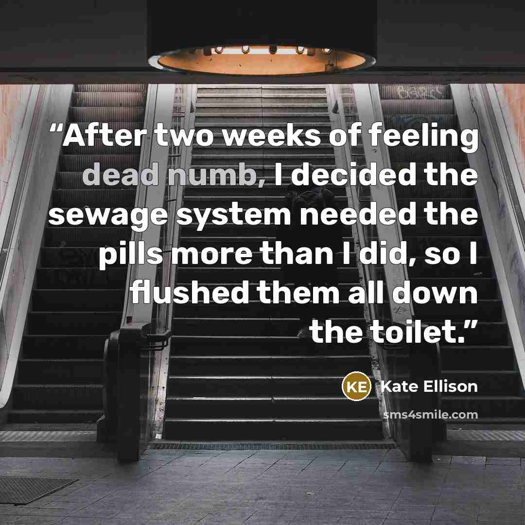 “After two weeks of feeling dead numb, I decided the sewage system needed the pills more than I did, so I flushed them all down the toilet.” quote by Kate Ellison