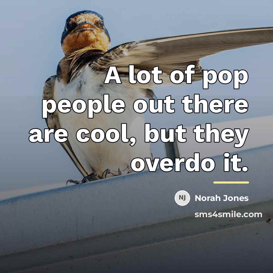 “A lot of pop people out there are cool, but…” quote by Norah Jones