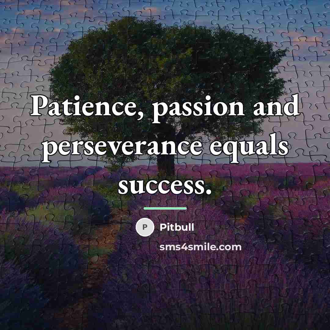 “Patience, passion and perseverance equals success.…” quote by Pitbull