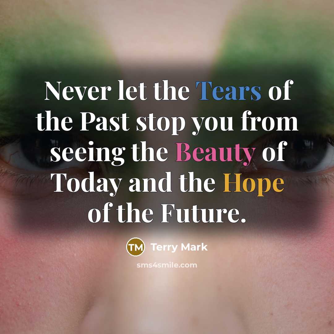 “Never let the Tears of the Past stop you from…” quote by Terry Mark