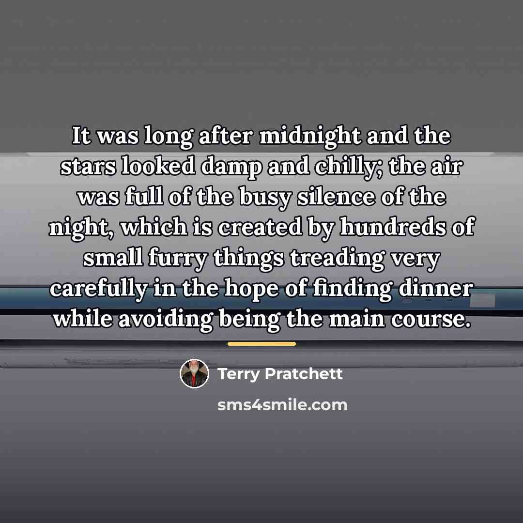 “It was long after midnight and the stars looked damp…” quote by Terry Pratchett