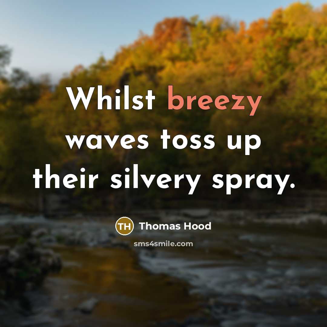 “Whilst breezy waves toss up their silvery spray.…” quote by Thomas Hood