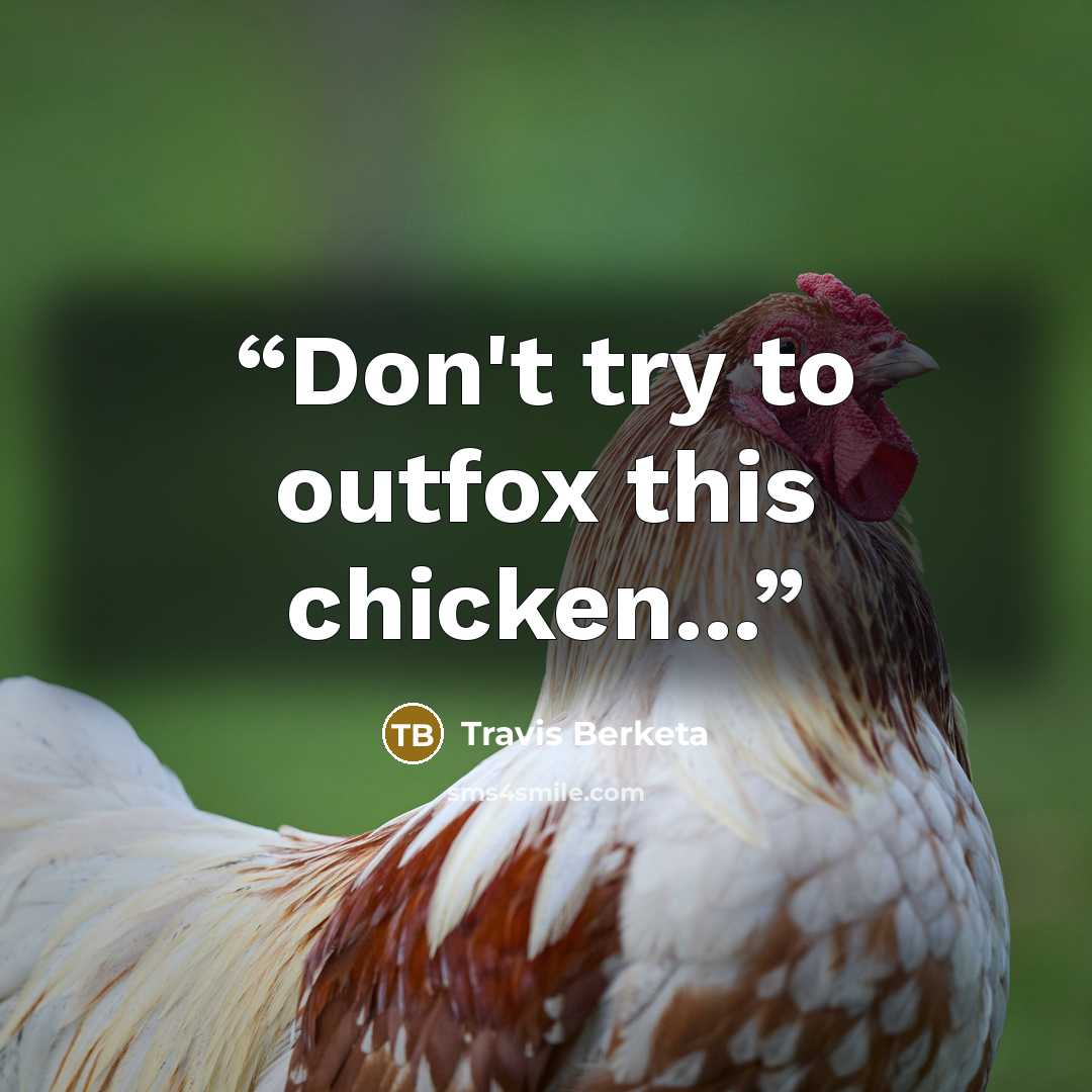 “Don't try to outfox this chicken...” quote by Travis Berketa