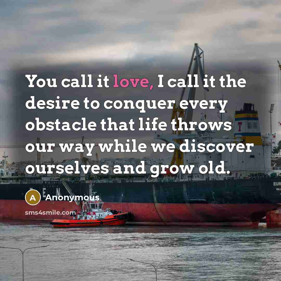 “You call it love, I call it the desire to…” quote by Anonymous