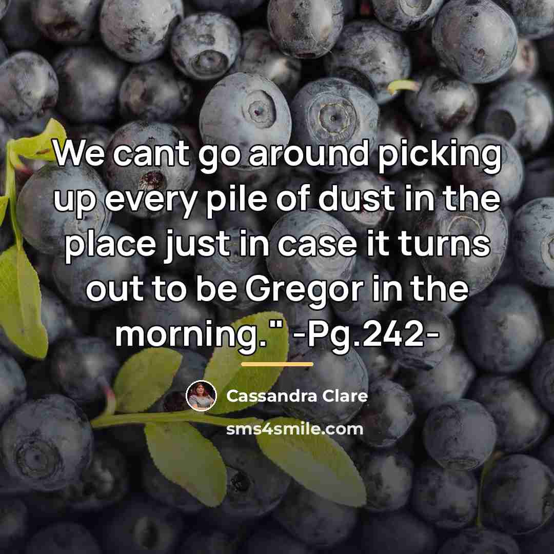 “We cant go around picking up every pile of dust…” quote by Cassandra Clare