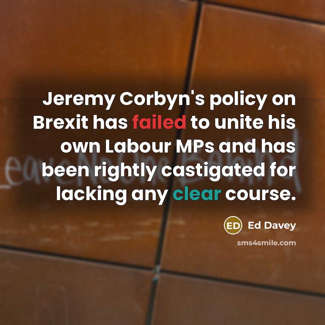 “Jeremy Corbyn's policy on Brexit has failed to unite his…” quote by Ed Davey