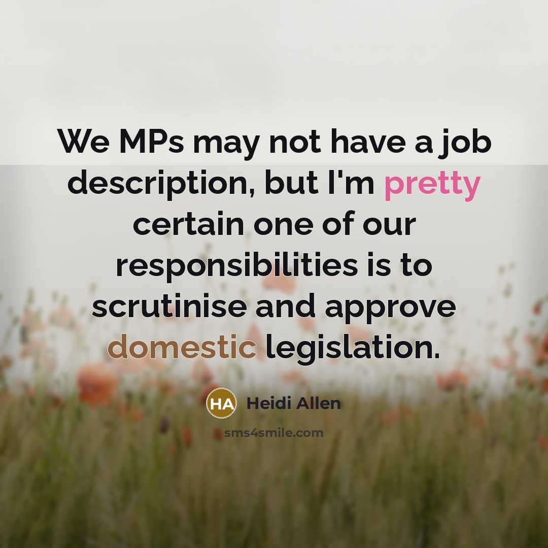 “We MPs may not have a job description, but I'm…” quote by Heidi Allen