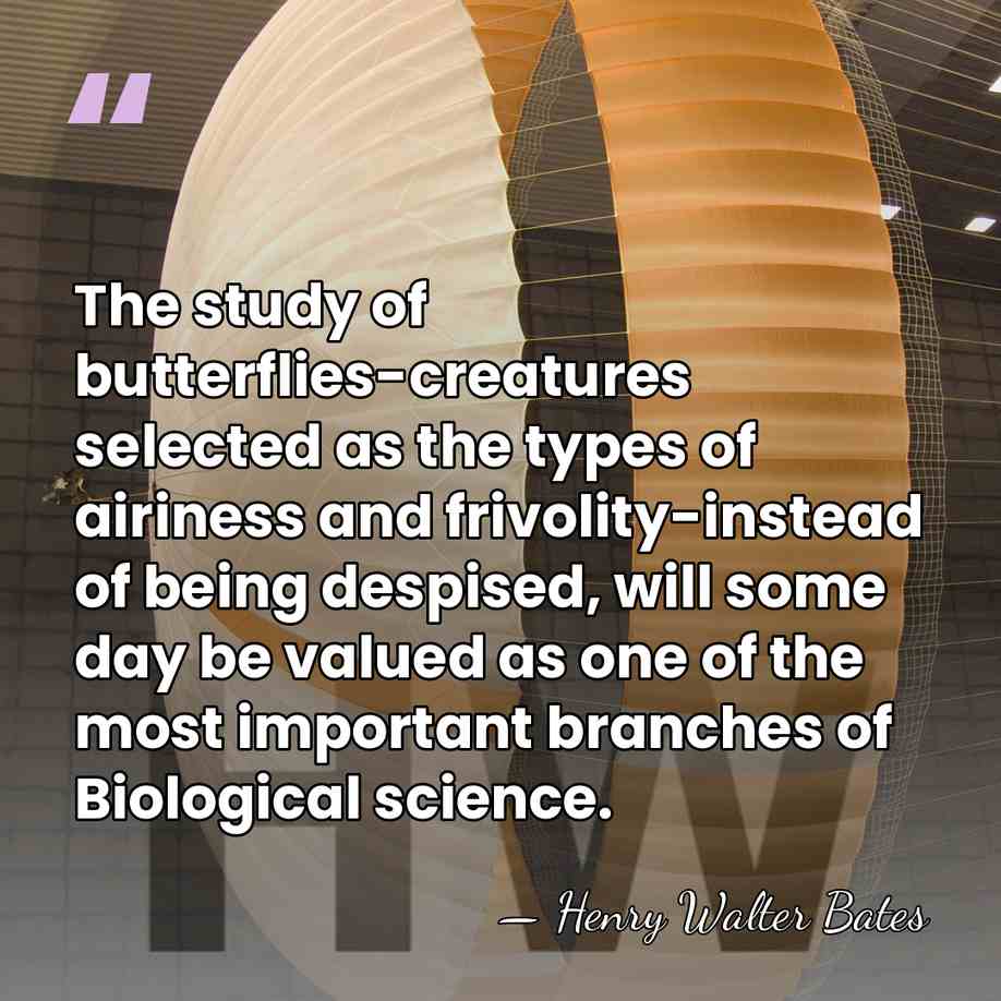 The study of butterflies-creatures selected as the types of airiness and frivolity-instead&hellip; - Henry Walter Bates