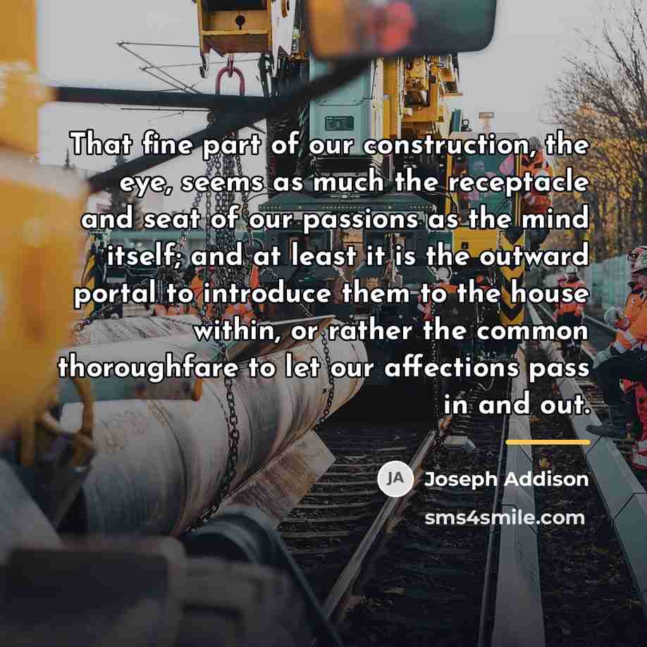 “That fine part of our construction, the eye, seems as…” quote by Joseph Addison