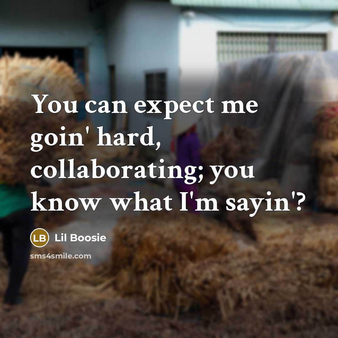 “You can expect me goin' hard, collaborating; you know what…” quote by Lil Boosie