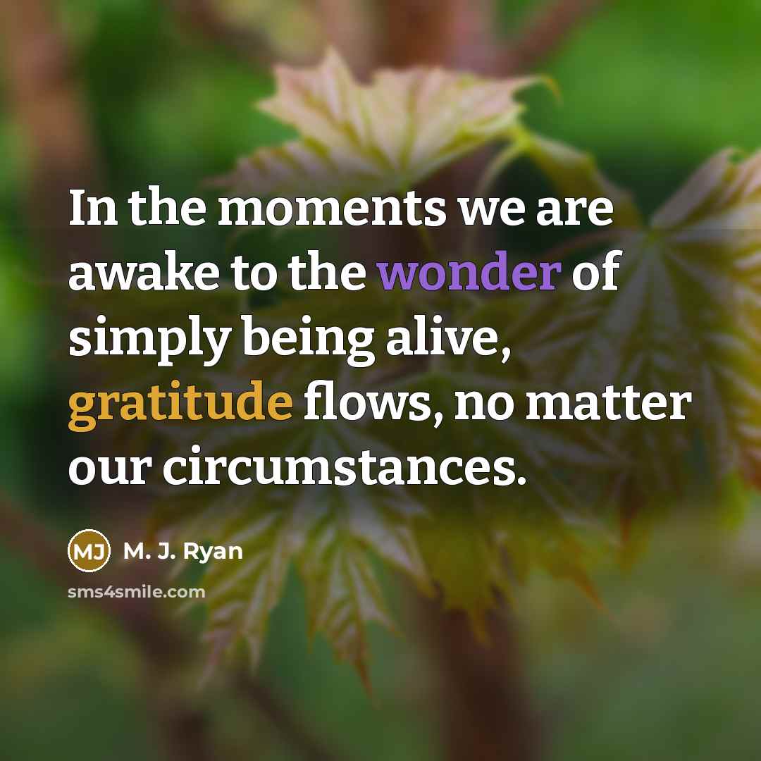 “In the moments we are awake to the wonder of…” quote by M. J. Ryan