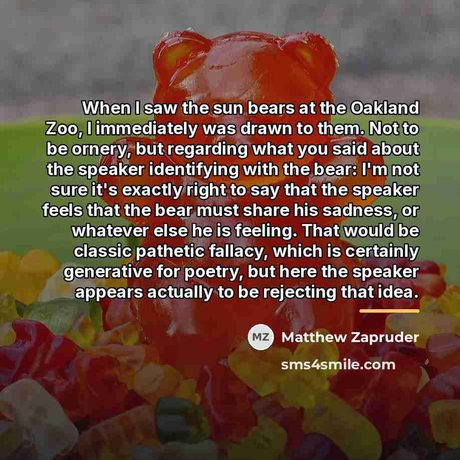 “When I saw the sun bears at the Oakland Zoo,…” quote by Matthew Zapruder