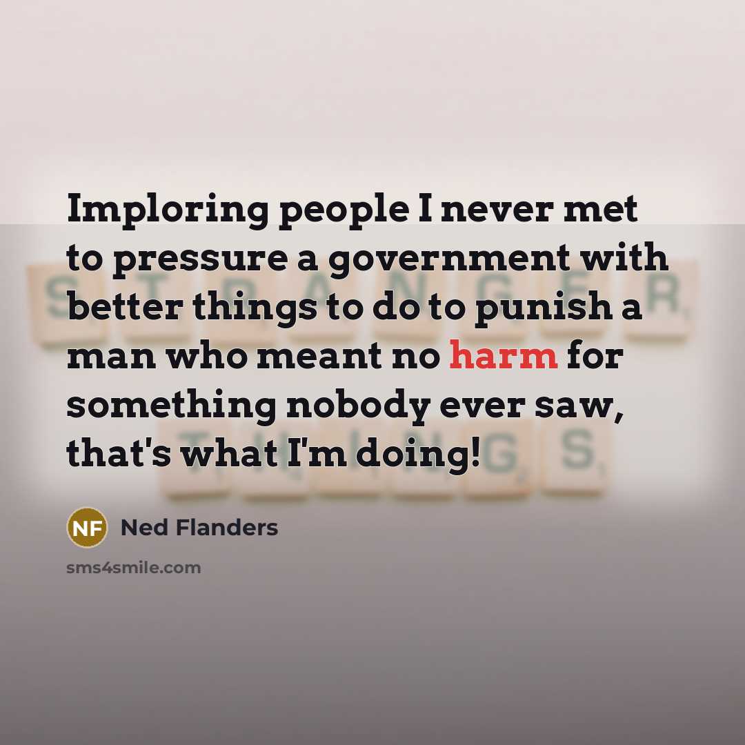“Imploring people I never met to pressure a government with…” quote by Ned Flanders