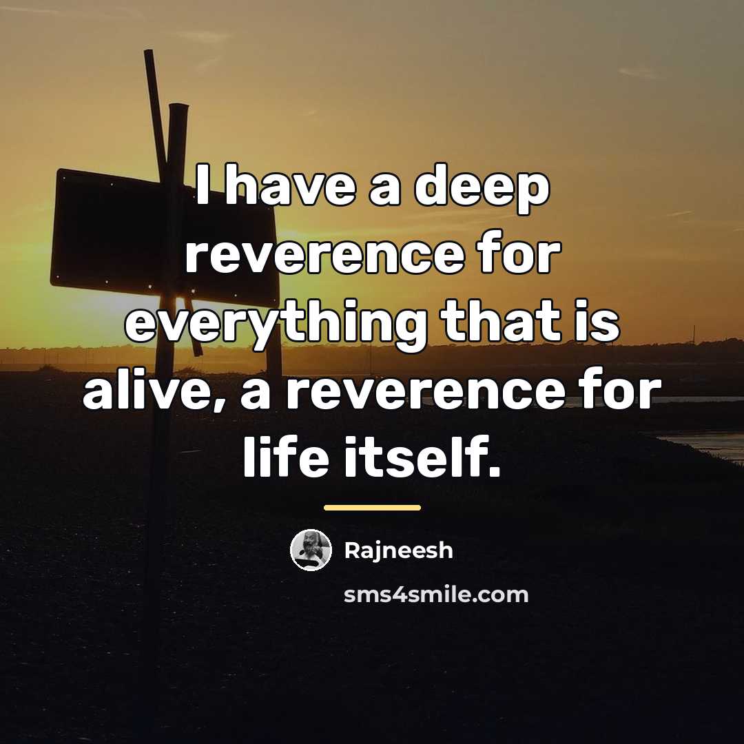 “I have a deep reverence for everything that is alive,…” quote by Rajneesh