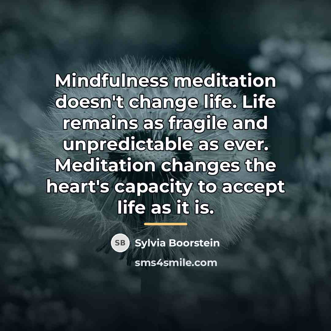 “Mindfulness meditation doesn't change life. Life remains as fragile and…” quote by Sylvia Boorstein