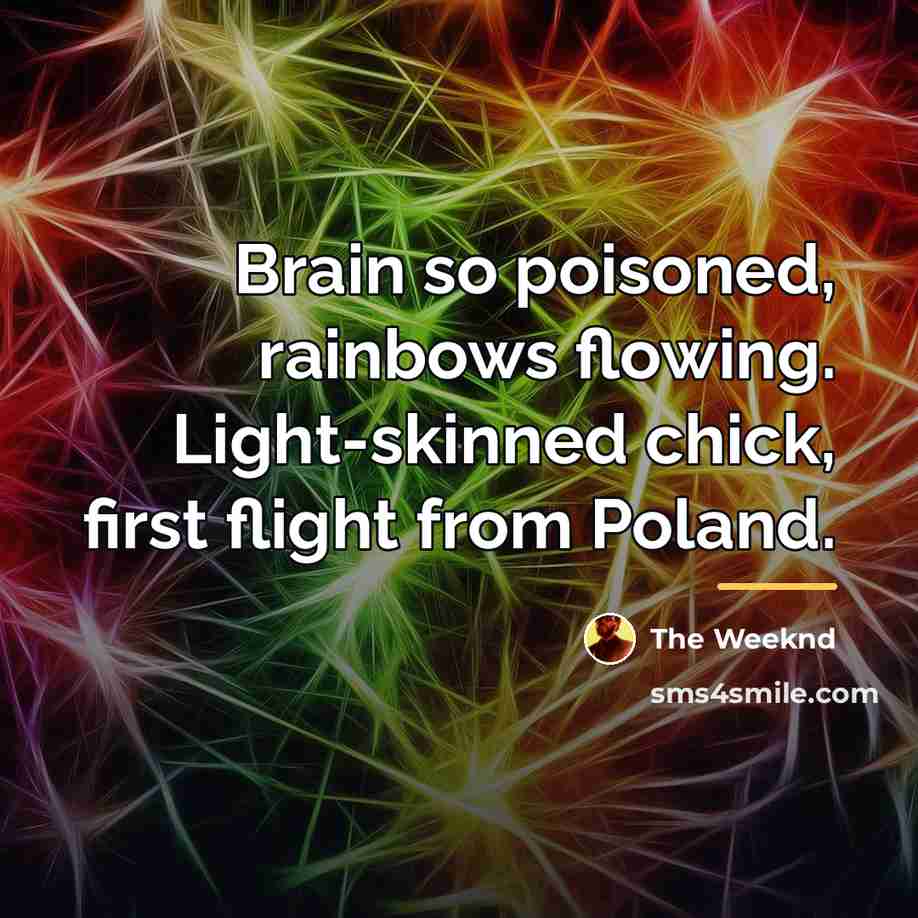 “Brain so poisoned, rainbows flowing. Light-skinned chick, first flight from…” quote by The Weeknd