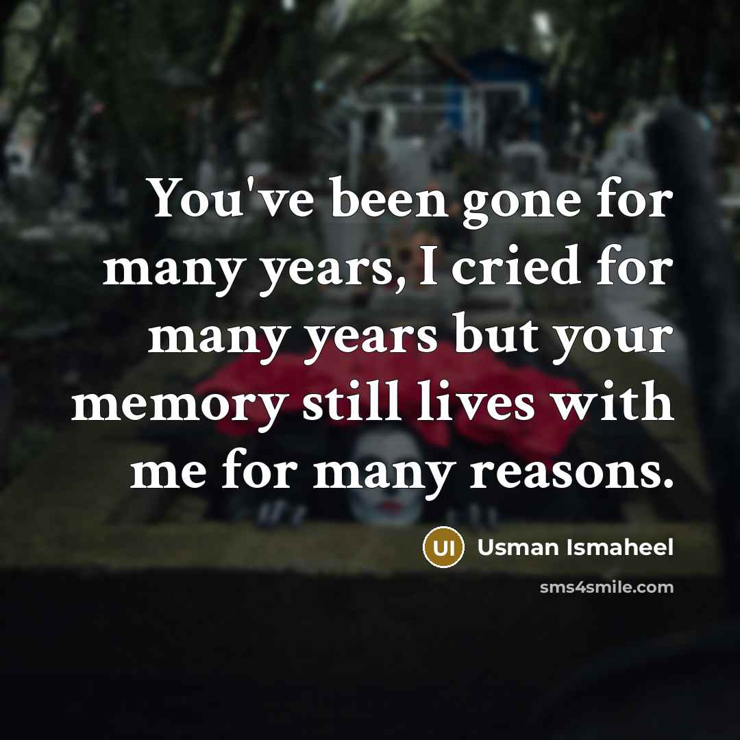 “You've been gone for many years, I cried for many…” quote by Usman Ismaheel