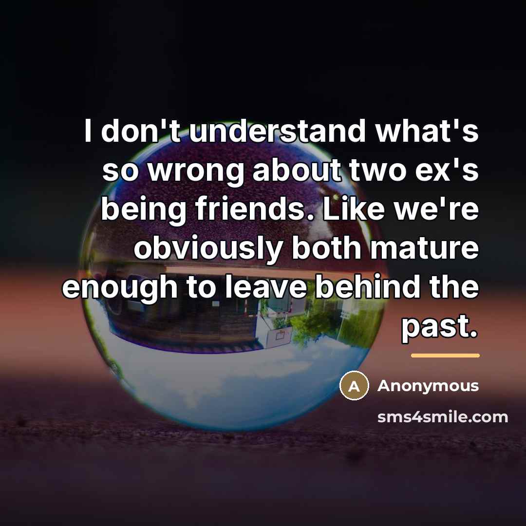 “I don't understand what's so wrong about two ex's being…” quote by Anonymous