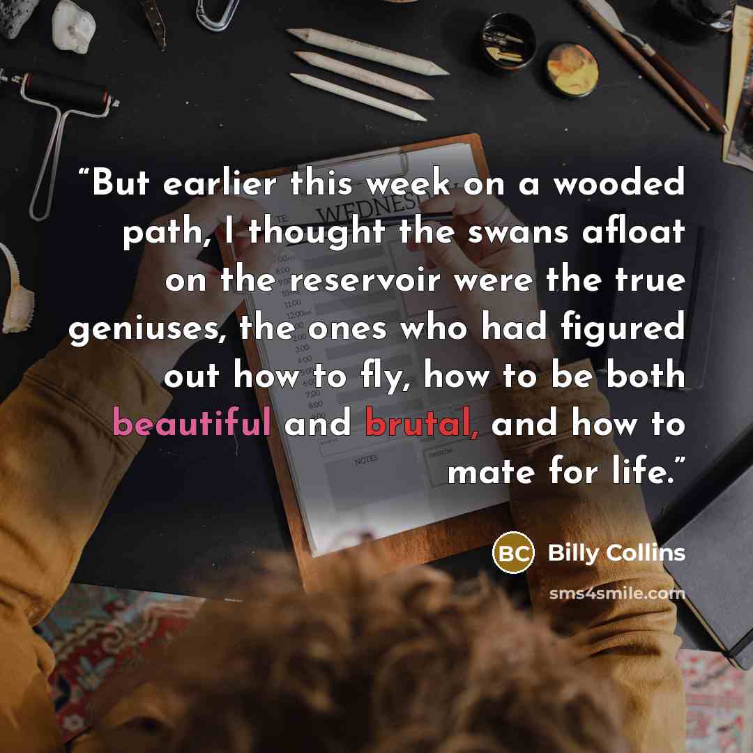 “But earlier this week on a wooded path, I thought the swans afloat on the reservoir were the true geniuses, the ones who had figured out how to fly, how to be both beautiful and brutal, and how to mate for life.” quote by Billy Collins