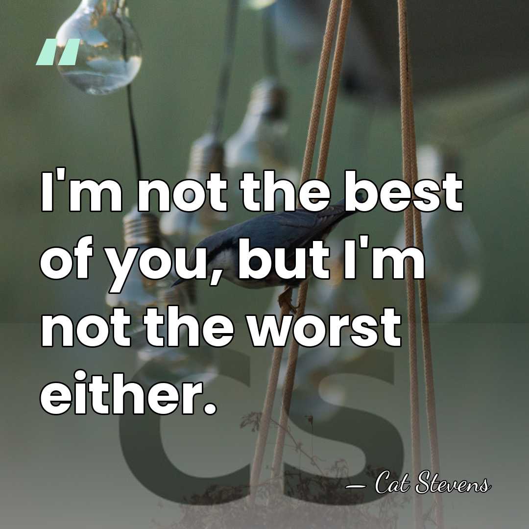 I'm not the best of you, but I'm not the worst either. - Cat Stevens