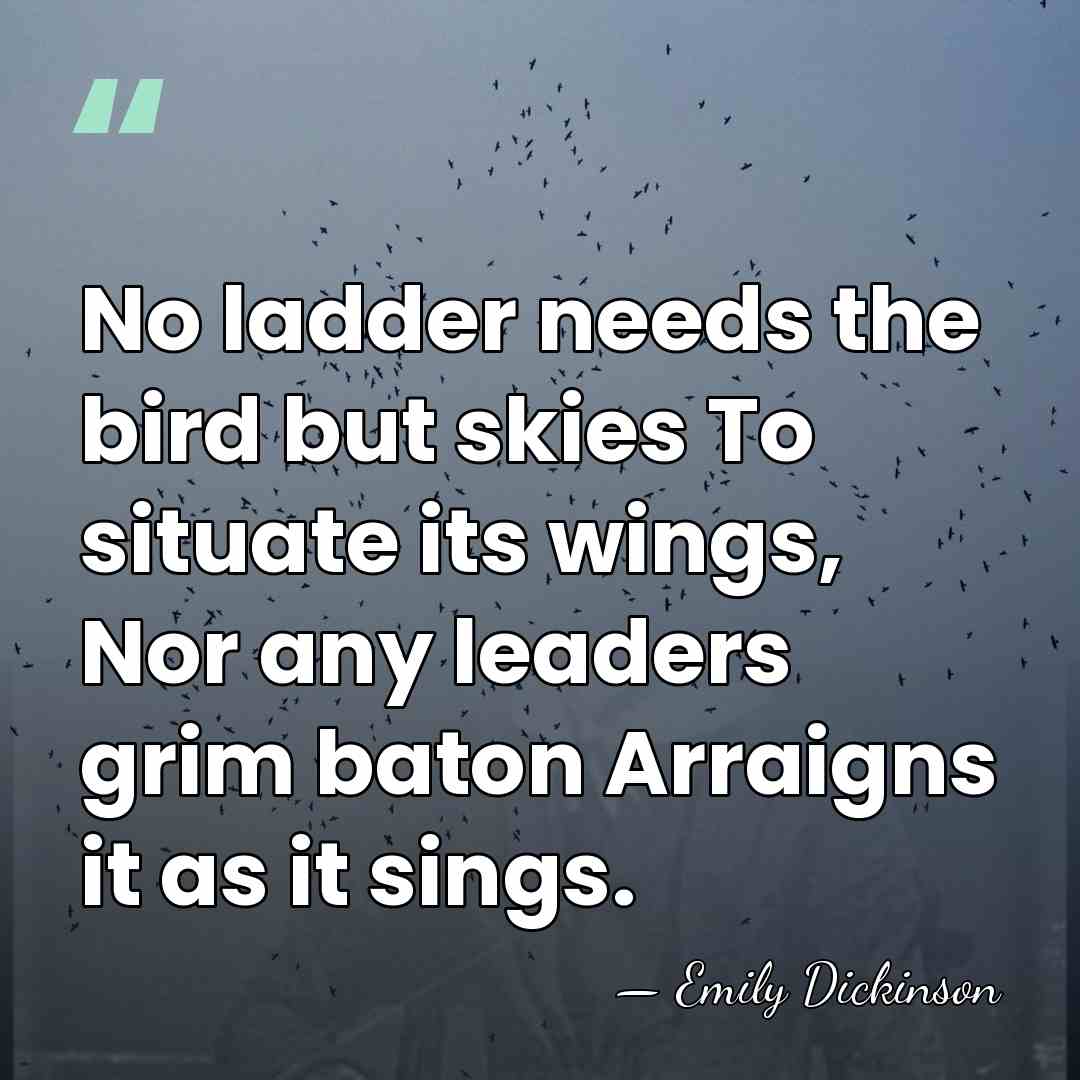 No ladder needs the bird but skies To situate its wings, Nor&hellip; - Emily Dickinson