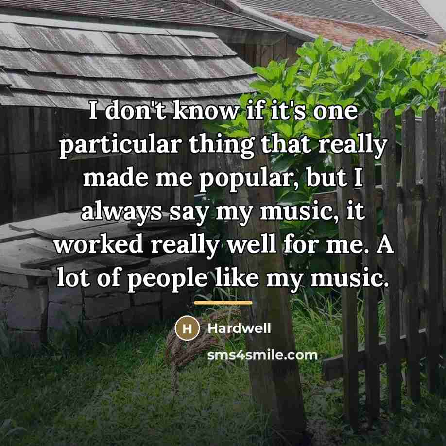 “I don't know if it's one particular thing that really…” quote by Hardwell