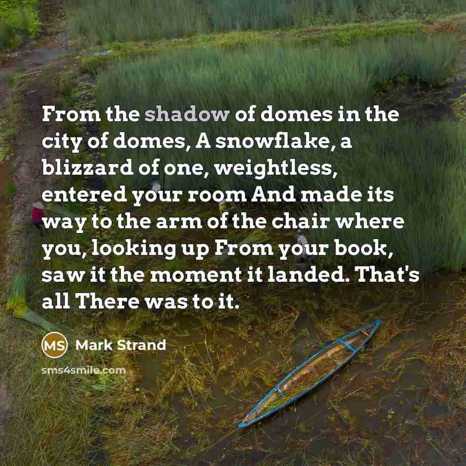 “From the shadow of domes in the city of domes,…” quote by Mark Strand