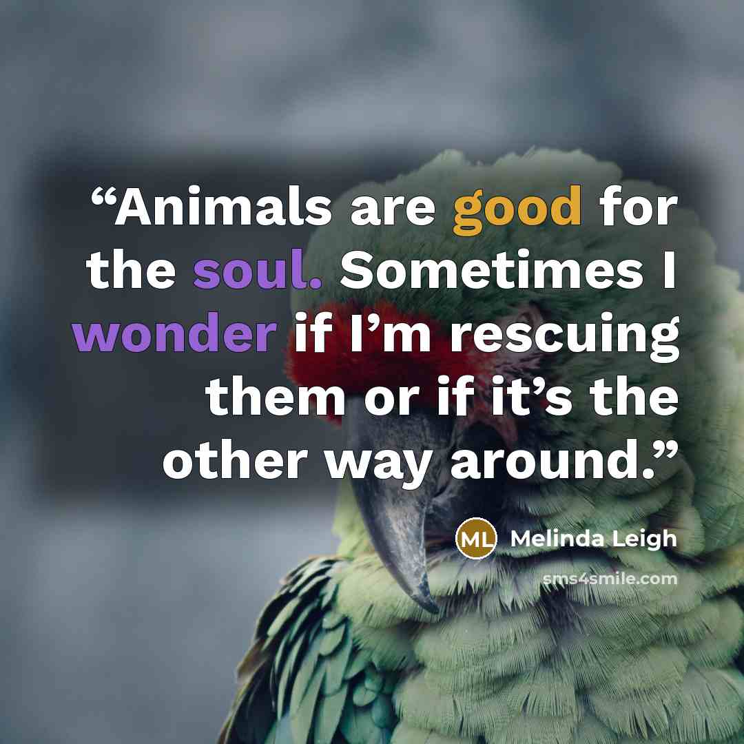 “Animals are good for the soul. Sometimes I wonder if I’m rescuing them or if it’s the other way around.” quote by Melinda Leigh