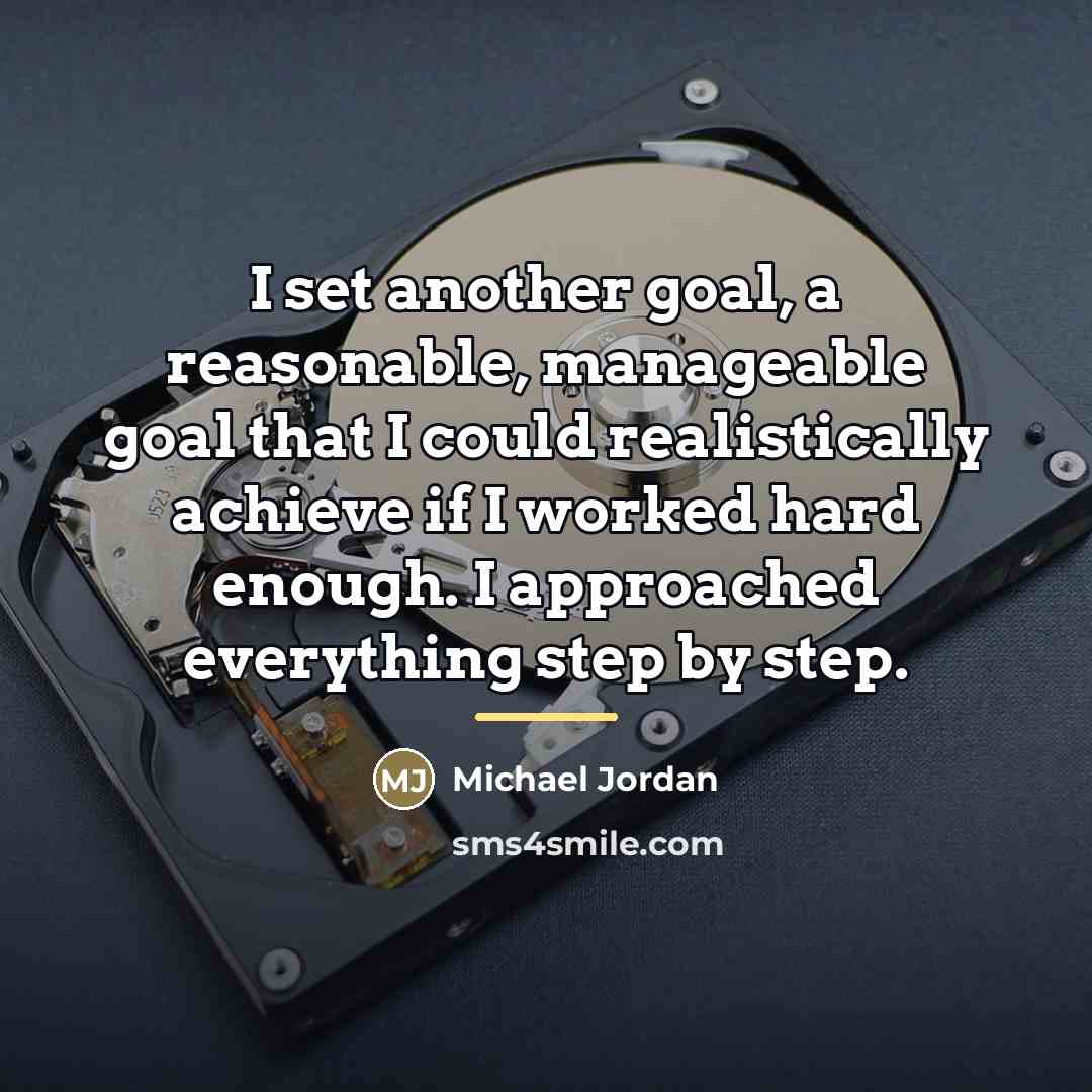 “I set another goal, a reasonable, manageable goal that I…” quote by Michael Jordan