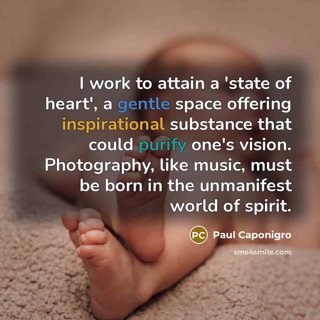 “I work to attain a 'state of heart', a gentle…” quote by Paul Caponigro