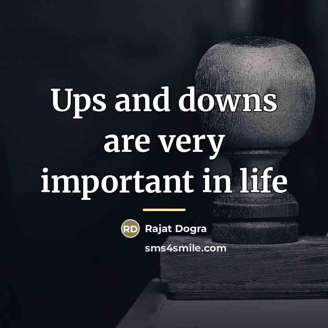 “Ups and downs are very important in life…” quote by Rajat Dogra