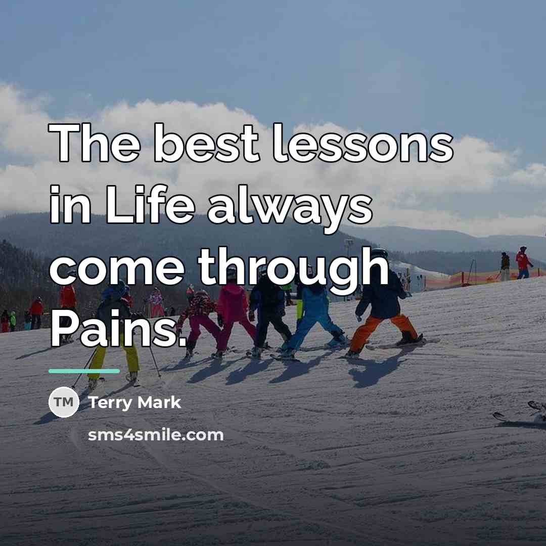 “The best lessons in Life always come through Pains.…” quote by Terry Mark