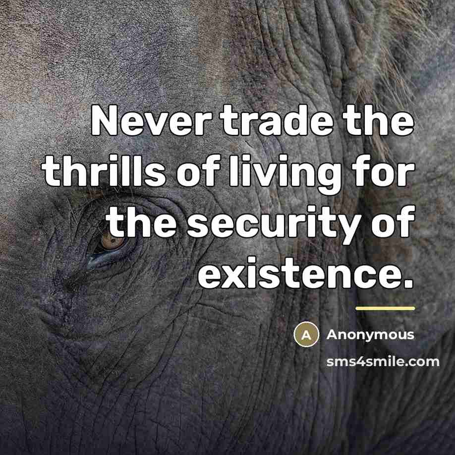 “Never trade the thrills of living for the security of…” quote by Anonymous
