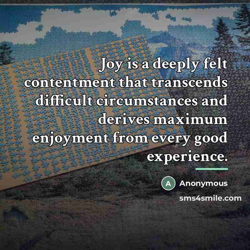 “Joy is a deeply felt contentment that transcends difficult circumstances…” quote by Anonymous