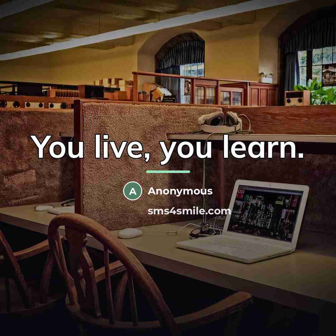 “You live, you learn.…” quote by Anonymous