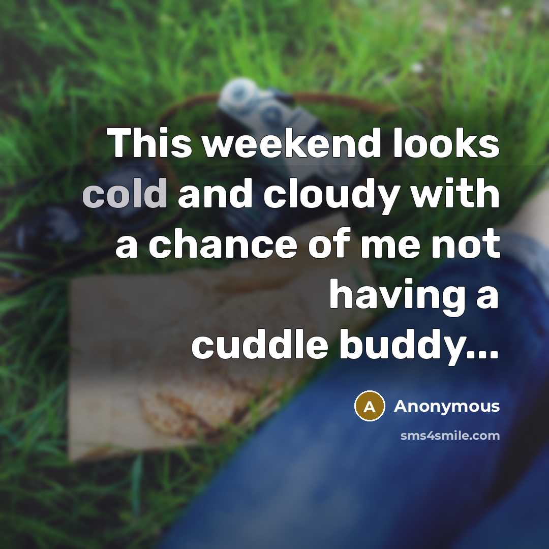 “This weekend looks cold and cloudy with a chance of me not having a cuddle buddy...” quote by Anonymous