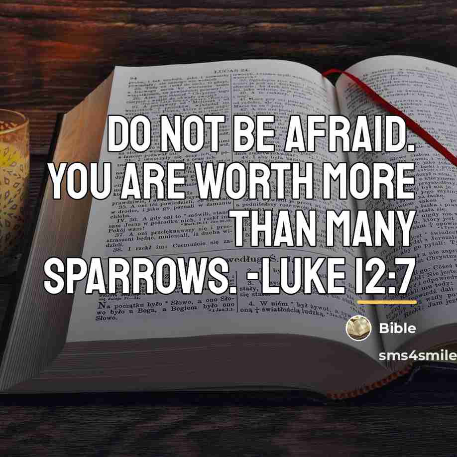 “Do not be afraid. You are worth more than many…” quote by Bible