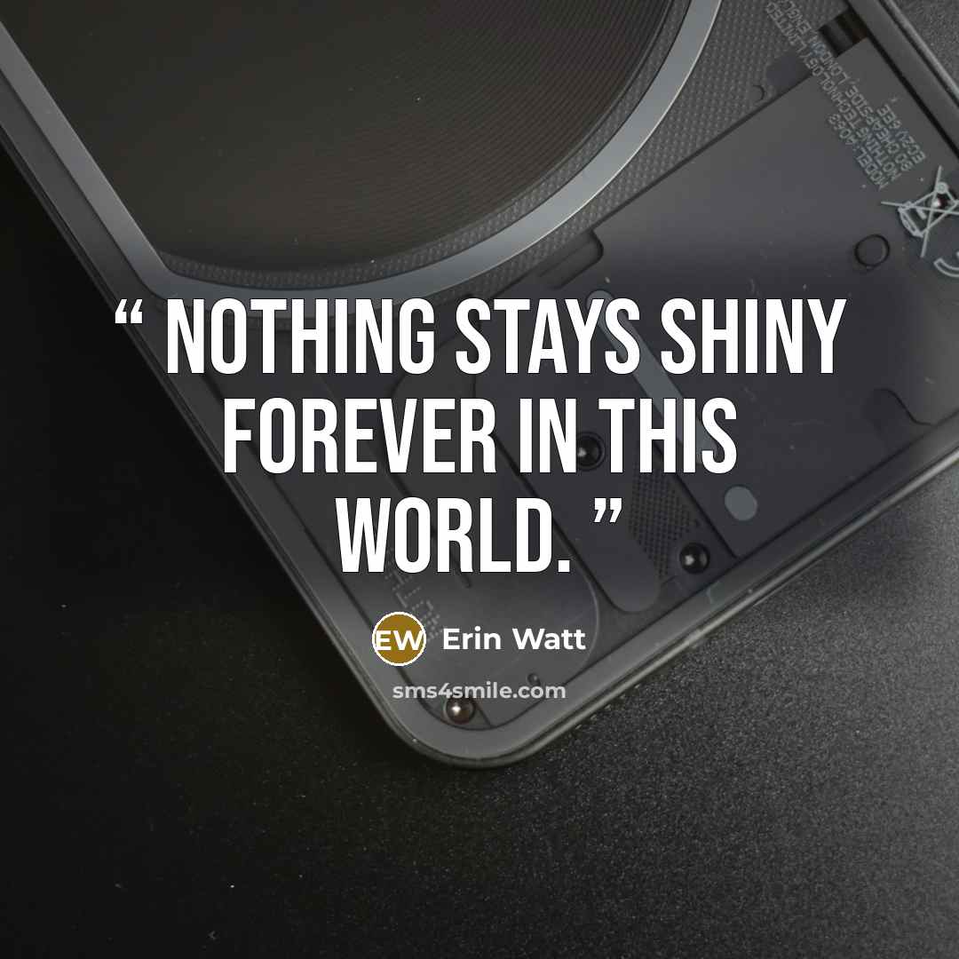“Nothing Stays Shiny Forever In This World.” quote by Erin Watt