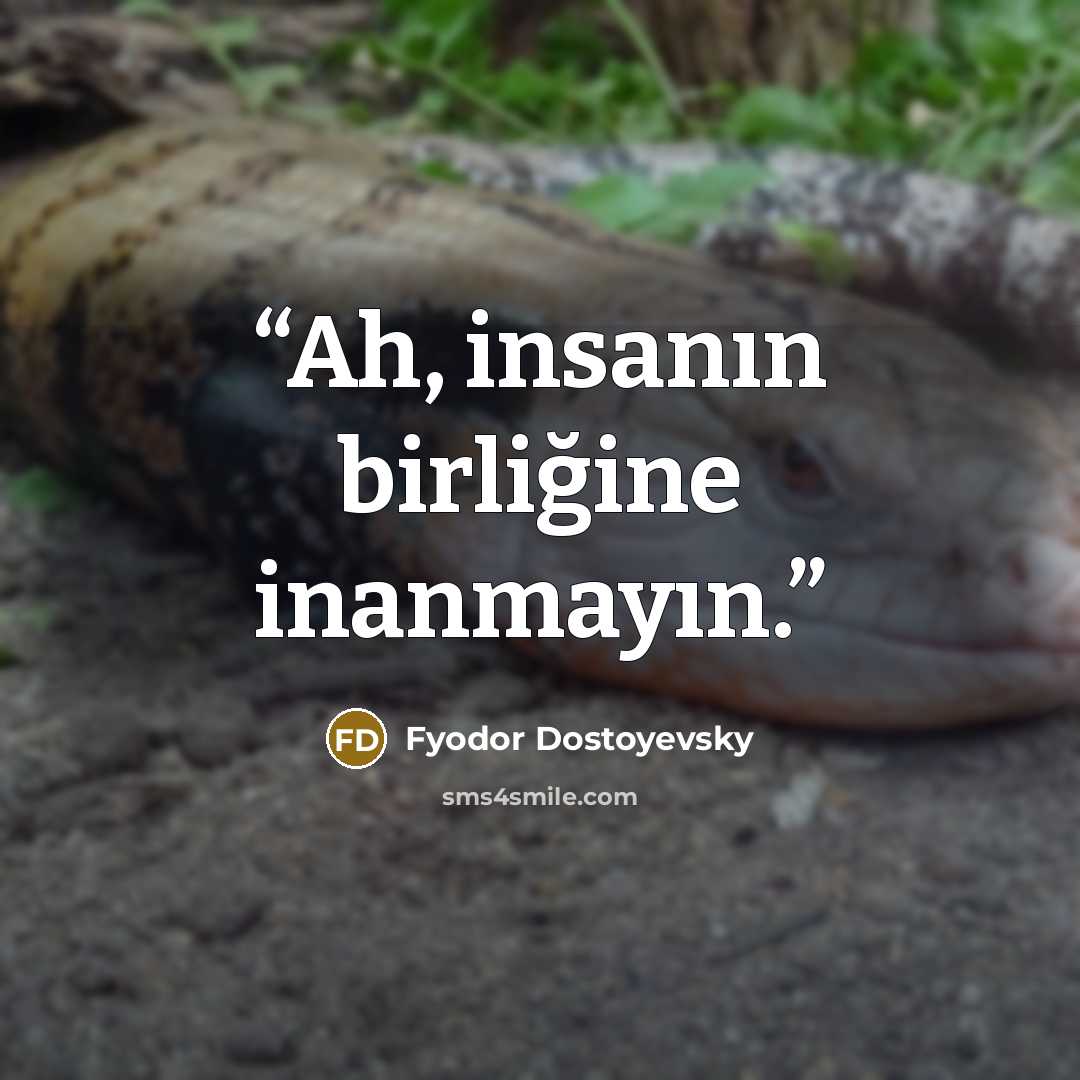 “Ah, insanın birliğine inanmayın.” quote by Fyodor Dostoyevsky