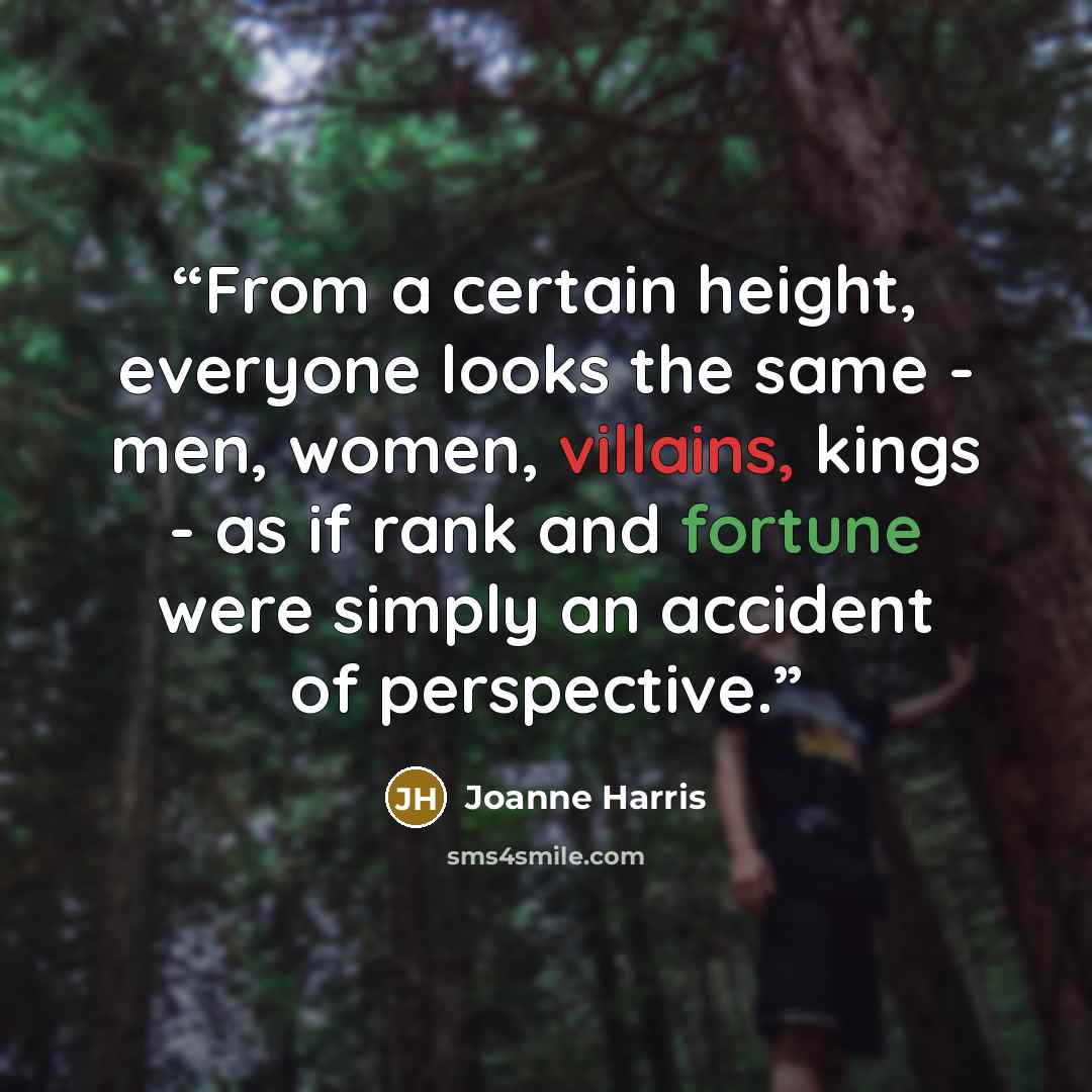 “From a certain height, everyone looks the same - men, women, villains, kings - as if rank and fortune were simply an accident of perspective.” quote by Joanne Harris