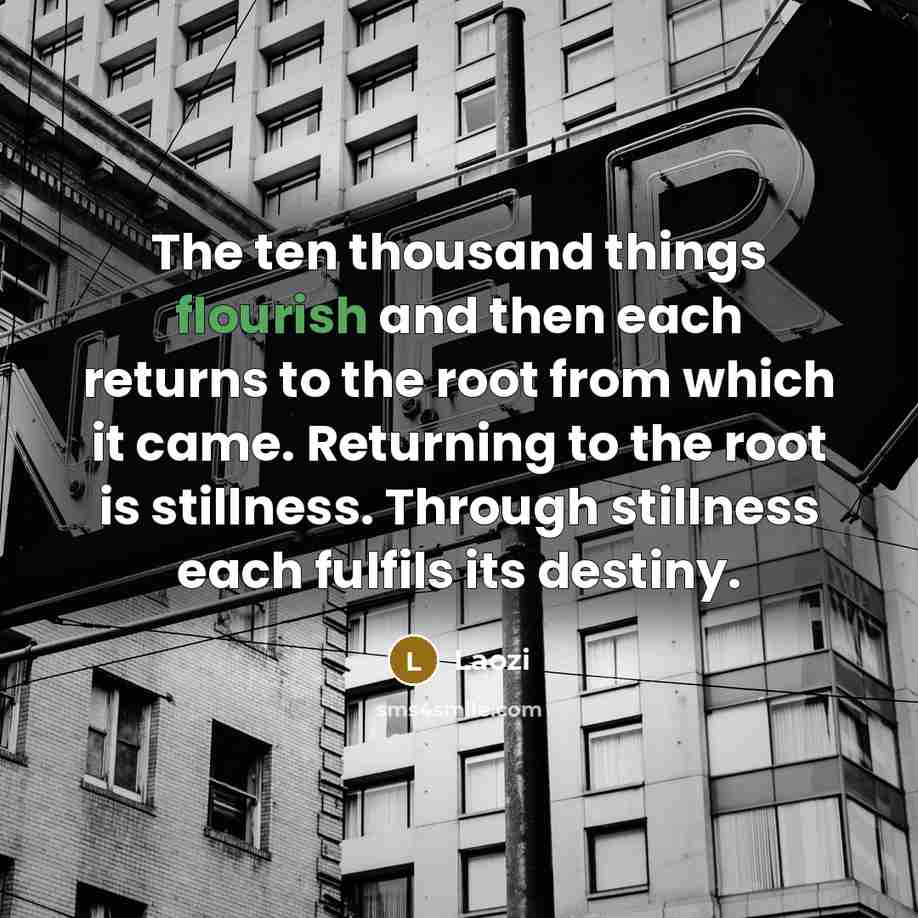 “The ten thousand things flourish and then each returns to…” quote by Laozi