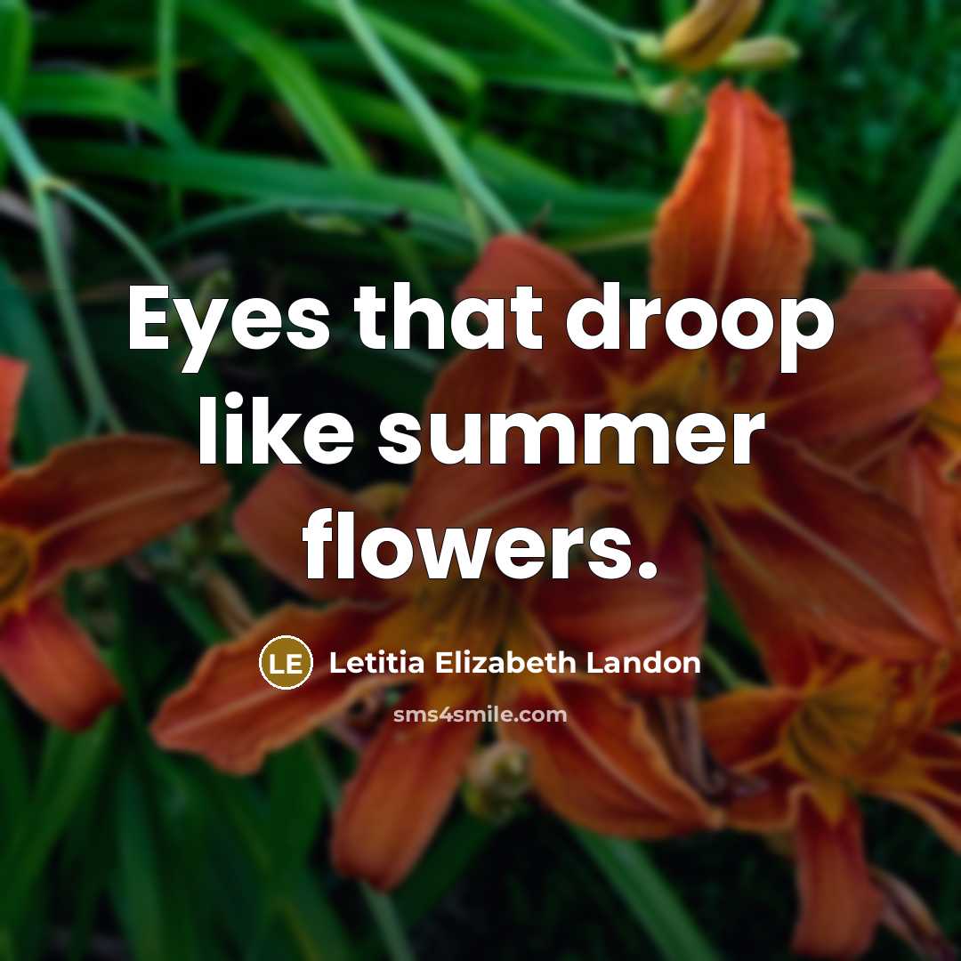 “Eyes that droop like summer flowers.…” quote by Letitia Elizabeth Landon