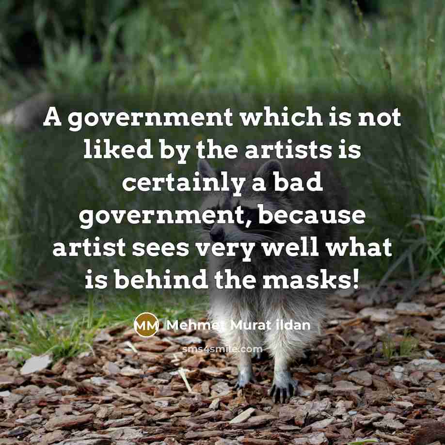 “A government which is not liked by the artists is…” quote by Mehmet Murat Ildan