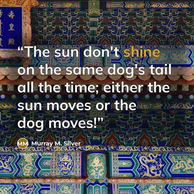 “The sun don't shine on the same dog's tail all the time; either the sun moves or the dog moves!” quote by Murray M. Silver