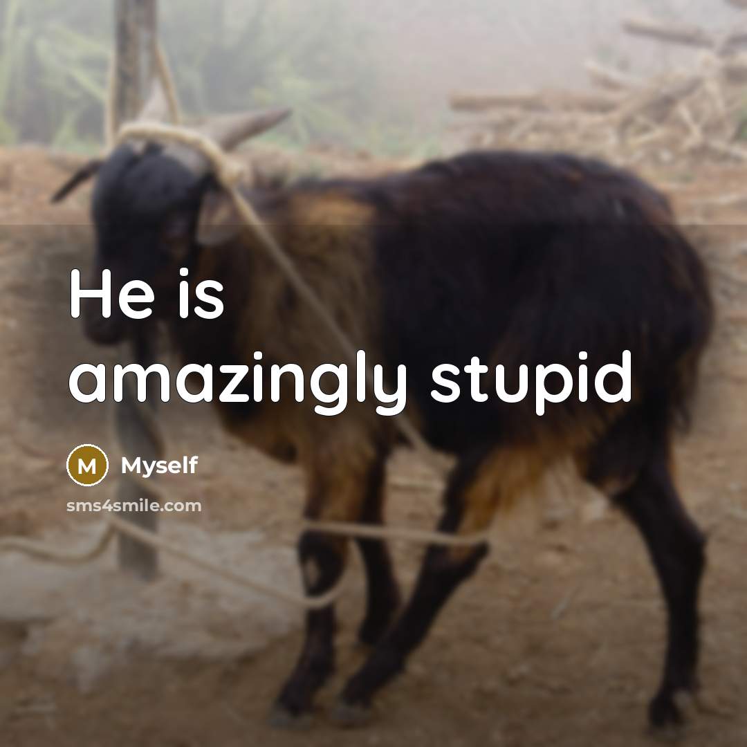 “He is amazingly stupid” quote by Myself