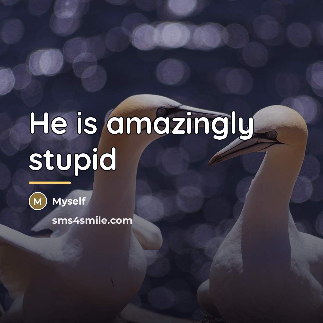 “He is amazingly stupid…” quote by Myself