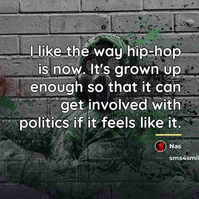 “I like the way hip-hop is now. It's grown up…” quote by Nas
